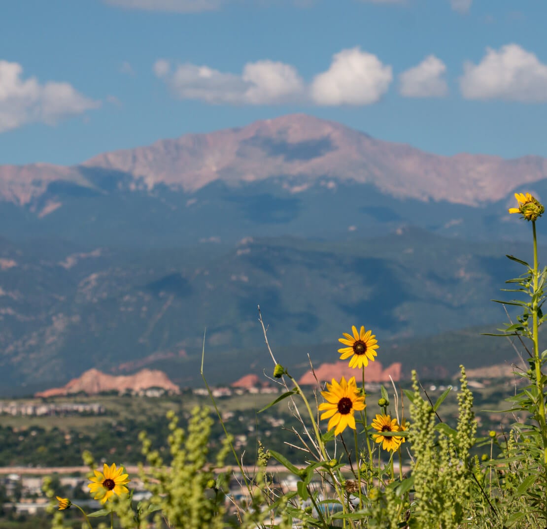 Pikes Peak in summer