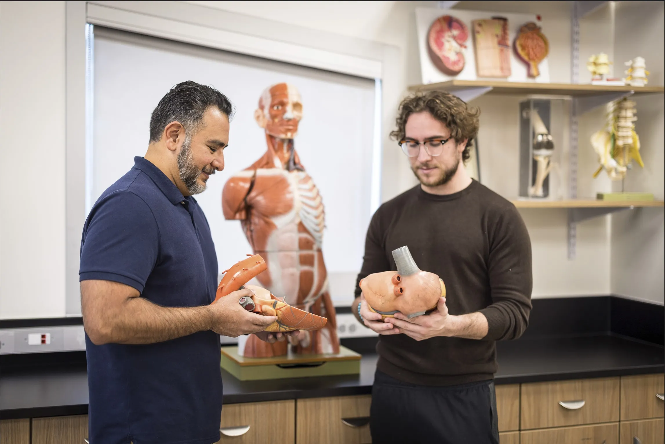 Two men examining anatomical models in a classroom with a human anatomy figure in the background.